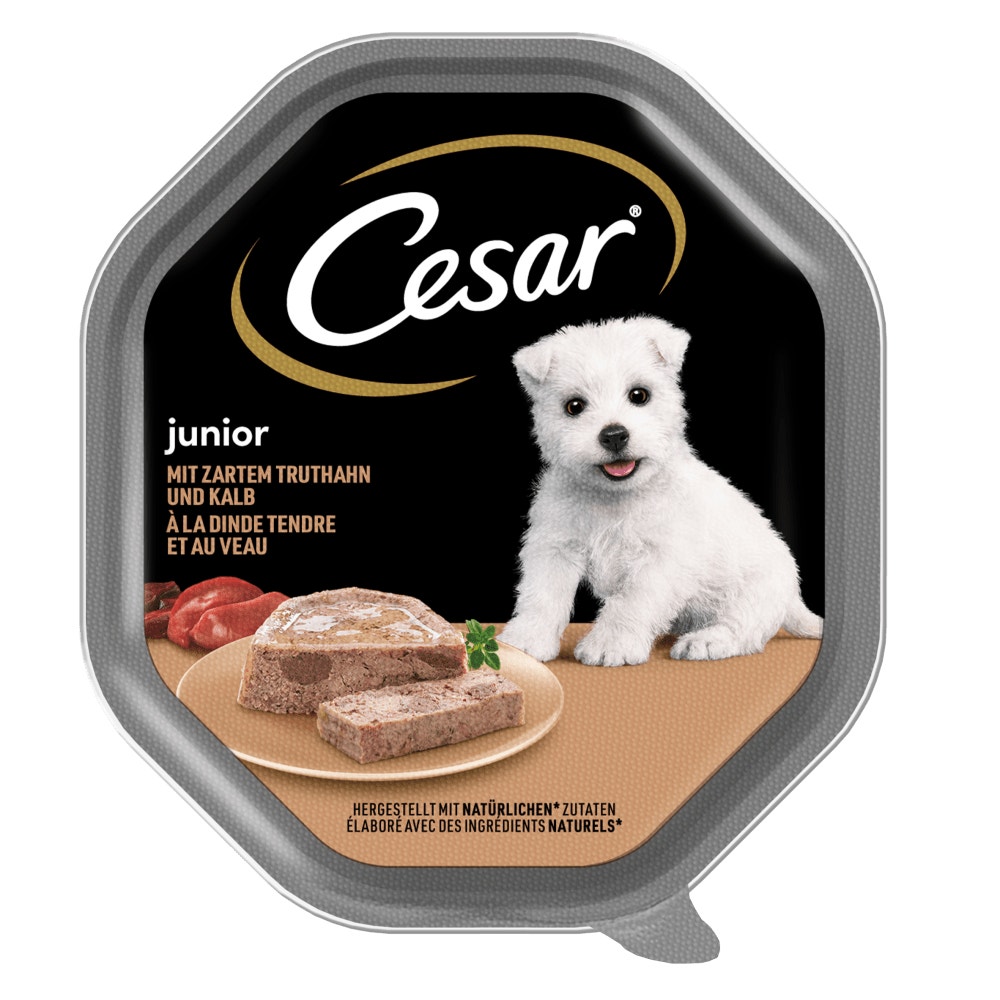 CESAR® Junior z delikatnym indykiem i cielęciną 150g - 1